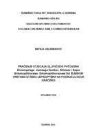 prikaz prve stranice dokumenta Praćenje utjecaja gljivičnog patogena Entomophaga maimaiga Humber, Shimazu, and Soper (Entomophthorales: Entomophoraceae) na šumskim vrstama iz reda Lepidoptera na području Nove Gradiške