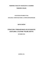 prikaz prve stranice dokumenta Struktura i pomlađivanje jelovo-bukove sastojine u uvjetima trajne zaštite