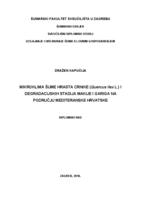 prikaz prve stranice dokumenta Mikroklima šume hrasta crnike (Quercus ilex L.) i degradacijskih stadija makije i gariga na području mediteranske Hrvatske