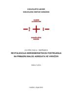 prikaz prve stranice dokumenta Revitalizacija hidroenergetskog postrojenja na primjeru malog agregata HE Varaždin