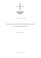 prikaz prve stranice dokumenta Fizioterapijski proces u rehabilitaciji bolesnika nakon transfemoralne amputacije