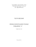 prikaz prve stranice dokumenta Izrada investicijske studije poduzeća X