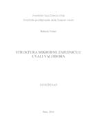 prikaz prve stranice dokumenta Struktura mikrobne zajednice u uvali Valdibora