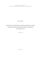 prikaz prve stranice dokumenta Mogućnosti unapređenja međunarodne kulturne suradnje kreiranjem novih dionica europskih kulturnih ruta