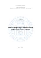 prikaz prve stranice dokumenta Analiza velikih skupova podataka s ciljem unaprjeđenja odnosa s kupcima