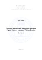 prikaz prve stranice dokumenta Aspects of Blackness and Whiteness in American Popular Culture - example of Whitney Houston