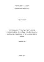 prikaz prve stranice dokumenta Molekularna tipizacija piroplazmi iz postmortalnih citoloških otisaka organa i razmazaka periferne krvi pasa bojanih po giemsi