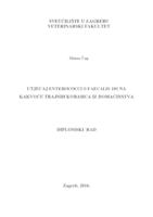 prikaz prve stranice dokumenta Utjecaj Enterococcus faecalis 101 na kakvoću  trajnih kobasica iz domaćinstva