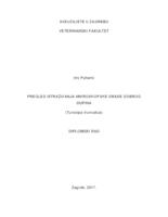 prikaz prve stranice dokumenta Pregled istraživanja mikroskopske građe dobrog dupina (Tursiops Truncatus)