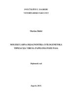 prikaz prve stranice dokumenta Molekularna dijagnostika i filogenetska tipizacija virusa papilomatoze pasa