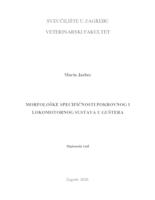 prikaz prve stranice dokumenta Morfološke specifičnosti pokrovnog i lokomotornog sustava u guštera