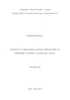 prikaz prve stranice dokumenta Uspostava organizacijske strukture na primjeru tvrtke "Kamičak" d.o.o.