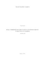 prikaz prve stranice dokumenta BUKA I MIKROKLIMATSKI UVJETI NA RADNOM MJESTU U ZRAČNOJ LUCI RIJEKA