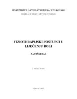 prikaz prve stranice dokumenta FIZIOTERAPIJSKI POSTUPCI U LIJEČENJU BOLI