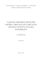 prikaz prve stranice dokumenta VAŽNOST PROPRIOCEPTIVNIH VJEŽBI U PREVENCIJI I LIJEČENJU OZLJEDA NOŽNOG ZGLOBA KOŠARKAŠA