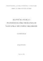 prikaz prve stranice dokumenta KLINIČKA SLIKA I PATOFIZIOLOŠKI MEHANIZAM NASTANKA MULTIPLE SKLEROZE