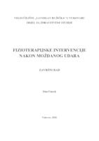 prikaz prve stranice dokumenta FIZIOTERAPIJSKE INTERVENCIJE NAKON MOŽDANOG UDARA