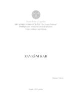 prikaz prve stranice dokumenta Migrantska kriza 2015./2016. i Bosna i Hercegovina: politike i modeli (ne)djelovanja