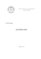 prikaz prve stranice dokumenta Rizici i mjere zaštite na radu aviomehaničara pri održavanju zrakoplova