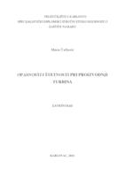 prikaz prve stranice dokumenta Opasnosti i štetnosti pri proizvodnji turbina
