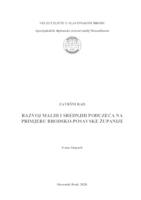 prikaz prve stranice dokumenta Razvoj malih i srednjih poduzeća na primjeru Brodsko-posavske županije