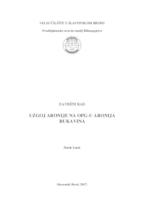 prikaz prve stranice dokumenta Uzgoj aronije na OPG-u Aronija Rukavina