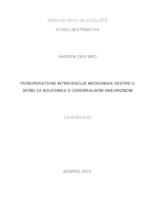 prikaz prve stranice dokumenta Perioperativne intervencije medicinske sestre u skrbi za bolesnika s cerebralnom aneurizmom
