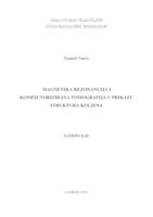 prikaz prve stranice dokumenta Magnetska rezonancija i kompjutorizirana tomografija u prikazu struktura koljena